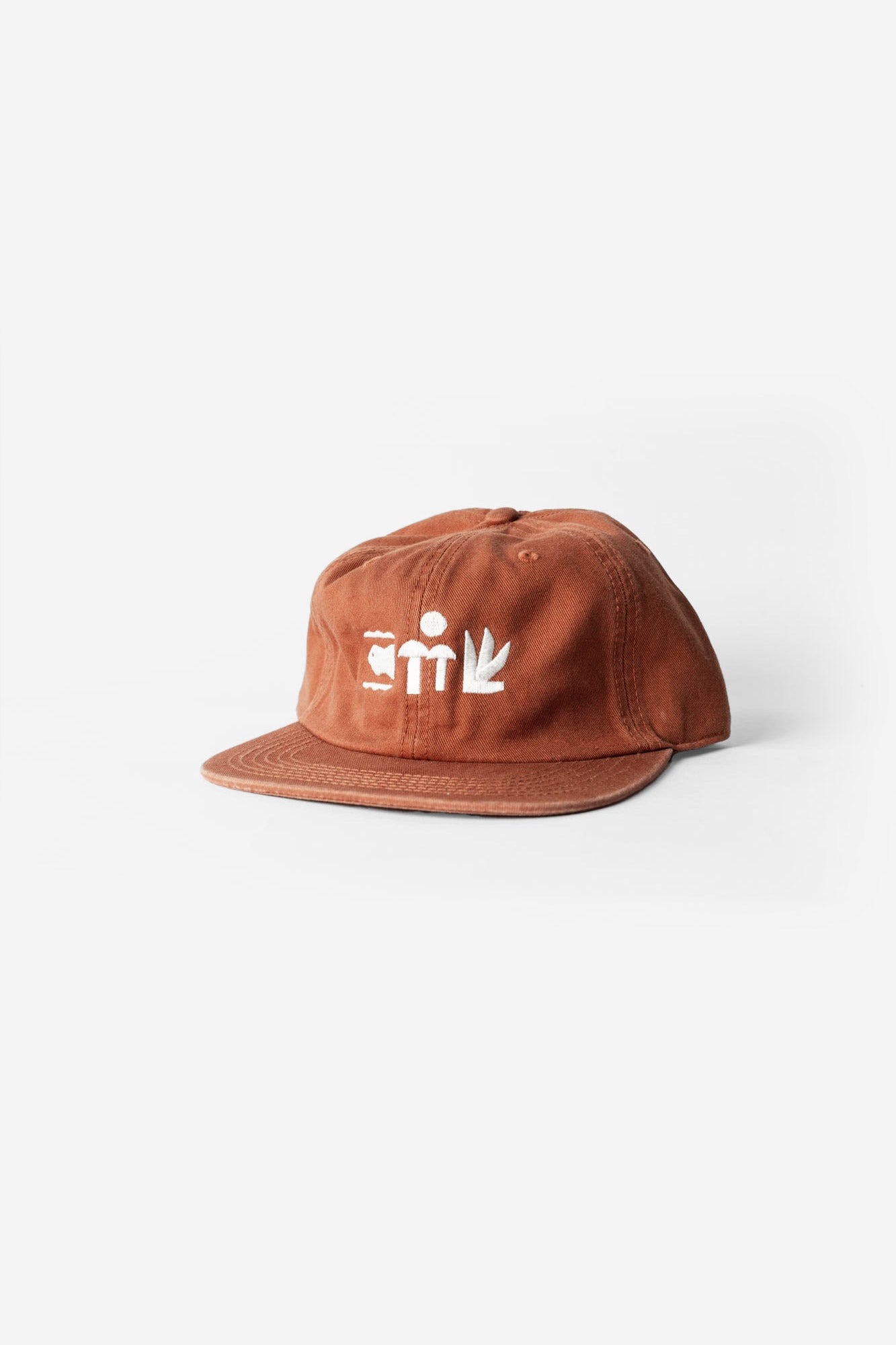 Icons Hat