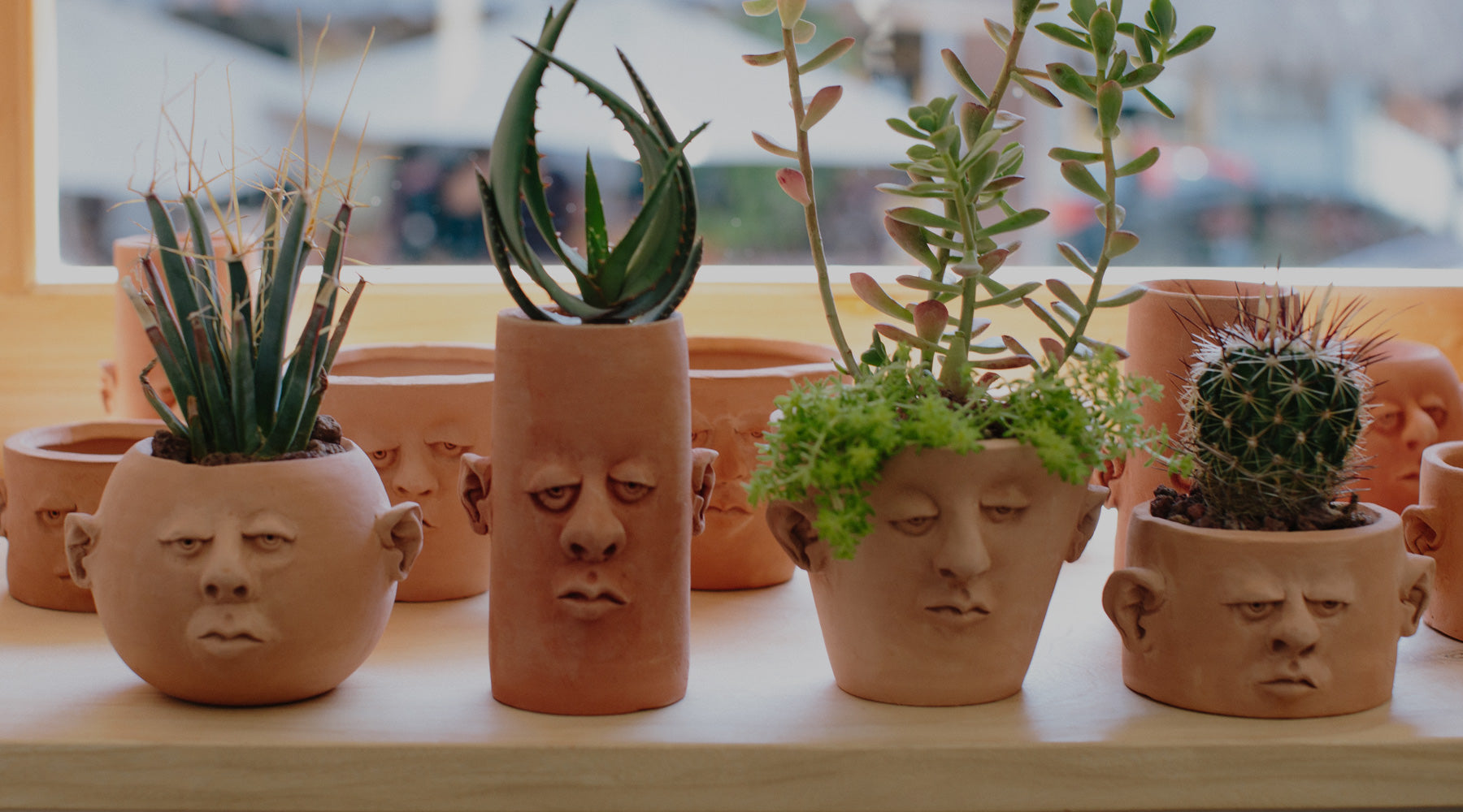 Head Planter