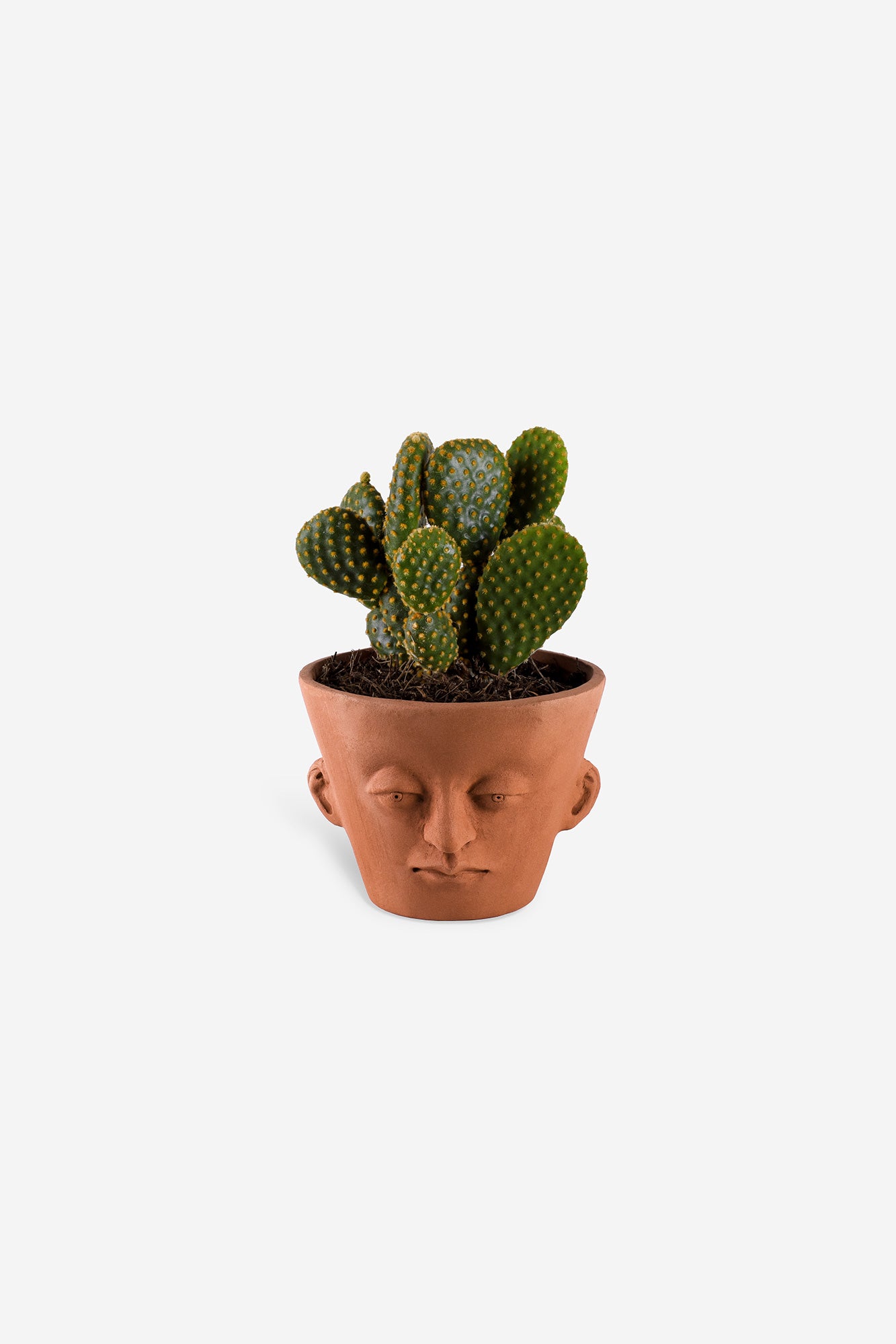 Head Planter Pottery Classic Roja Front